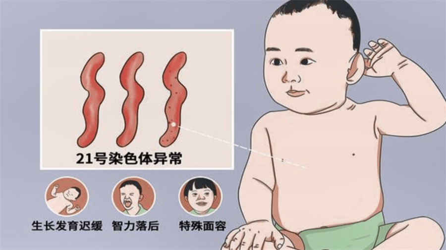 微信图片_20250427085800.png